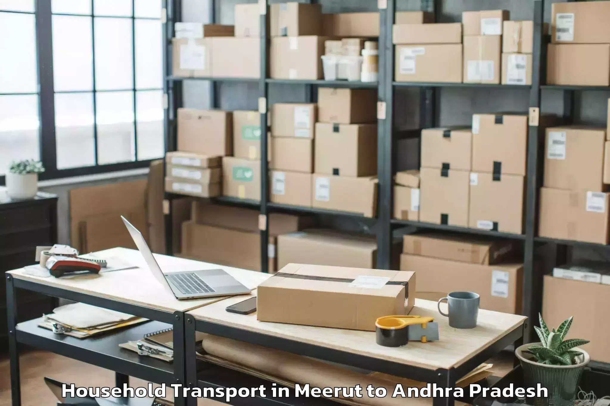 Expert Meerut to Pedaparupudi Household Transport